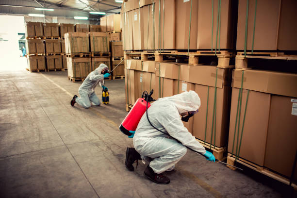 Best Wildlife Control Services  in Erie, IL