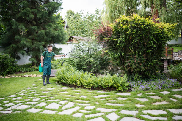 Best Insect Control  in Erie, IL