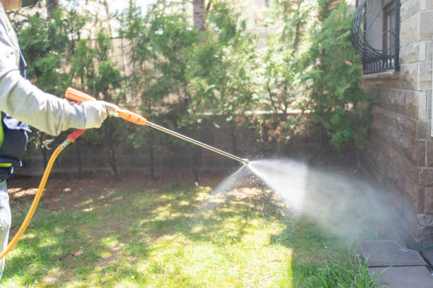 Best Local Pest Control Services  in Erie, IL
