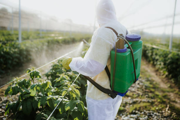 Wildlife Control Services in Erie, IL